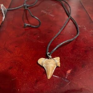 Shark tooth necklace / charm